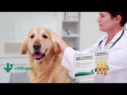 Video o izdelku NeyDIL® št. 68 Revitorgan® D4 pro vet.Ampule, 5X2 ml