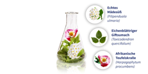 GELENCIUM artro mešanica, 2X100 ml