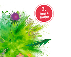 BASEN AKTIV Čaj št. 2 Mlečni regrat Organic Salus, 40 kapsul