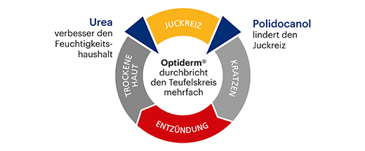OPTIDERM Losjon, 500 g