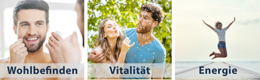 MSM HOCHDOSIERT+Vitamin C kapsule, 360 kapsul