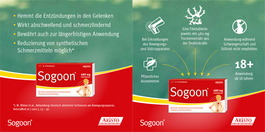 SOGOON 480 mg filmsko obložene tablete, 200 kosov