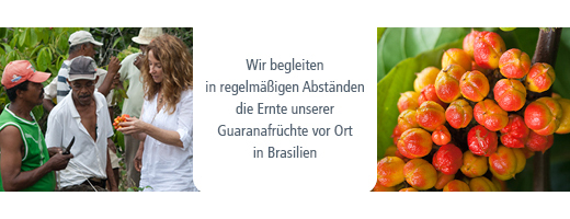 GUARANA Puder, 100 g