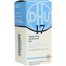 BIOCHEMIE DHU 17 Manganum sulfuricum D 12 tablet, 200 kosov