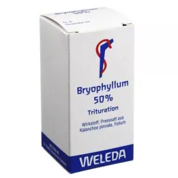 BRYOPHYLLUM 50 % prahu za peroralno uporabo, 20 g