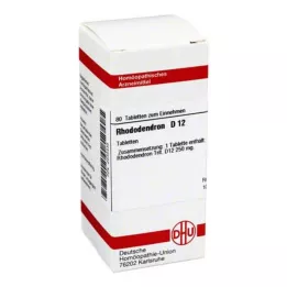 RHODODENDRON D 12 tablet, 80 kapsul