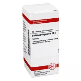 SOLIDAGO VIRGAUREA D 4 tablete, 80 kapsul