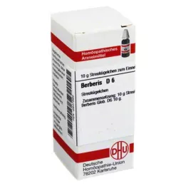 BERBERIS D 6 kroglic, 10 g
