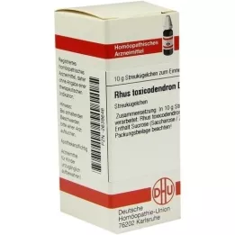 RHUS TOXICODENDRON D 10 globul, 10 g