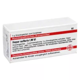 HEPAR SULFURIS LM VI Globule, 5 g