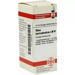 RHUS TOXICODENDRON LM VI Razredčenje, 10 ml