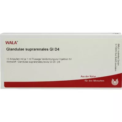 GLANDULAE SUPRARENALES GL D 4 ampule, 10X1 ml GLANDULAE SUPRARENALES GL D 4 ampule, 10X1 ml