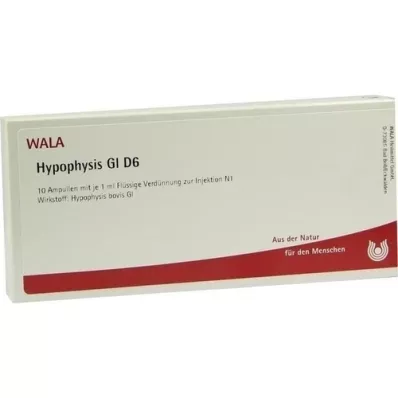 HYPOPHYSIS GL D 6 ampul, 10X1 ml