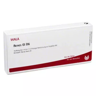 RENES GL D 6 ampul, 10X1 ml