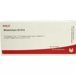 MESENCHYM GL D 12 ampul, 10X1 ml