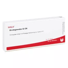 BINDEGEWEBE GL D 6 ampul, 10X1 ml