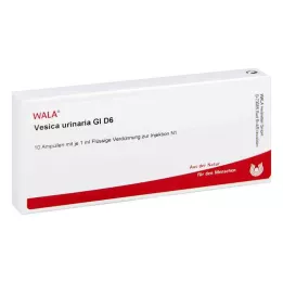 VESICA URINARIA GL D 6 ampul, 10X1 ml