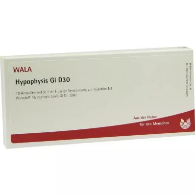HYPOPHYSIS GL D 30 ampul, 10X1 ml HYPOPHYSIS GL D 30 ampul, 10X1 ml