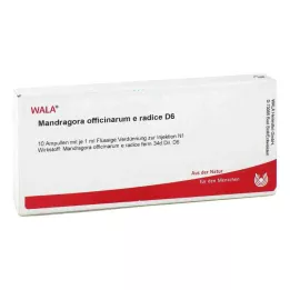 MANDRAGORA OFFICINARIUM e radice D 6 ampul, 10X1 ml