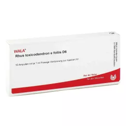 RHUS TOXICODENDRON E foliis D 6 ampul, 10X1 ml