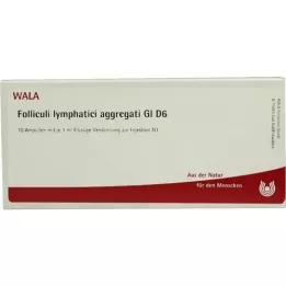 FOLLICULI LYMPHATICI agregati GL D 6 ampul, 10X1 ml