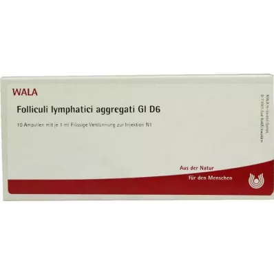 FOLLICULI LYMPHATICI agregati GL D 6 ampul, 10X1 ml FOLLICULI LYMPHATICI agregati GL D 6 ampul, 10X1 ml