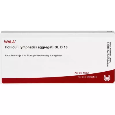 FOLLICULI LYMPHATICI agregati GL D 10 ampul, 10X1 ml