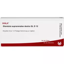 GLANDULA SUPRARENALES dextra GL D 12 ampul, 10X1 ml