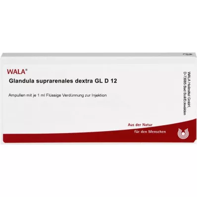 GLANDULA SUPRARENALES dextra GL D 12 ampul, 10X1 ml