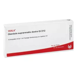 GLANDULA SUPRARENALES dextra GL D 12 ampul, 10X1 ml
