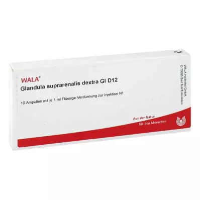 GLANDULA SUPRARENALES dextra GL D 12 ampul, 10X1 ml