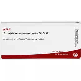 GLANDULA SUPRARENALES dextra GL D 30 ampul, 10X1 ml