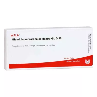 GLANDULA SUPRARENALES dextra GL D 30 ampul, 10X1 ml