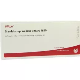 GLANDULA SUPRARENALIS sinistra GL D 4 ampule, 10X1 ml