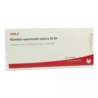 GLANDULA SUPRARENALIS sinistra GL D 4 ampule, 10X1 ml GLANDULA SUPRARENALIS sinistra GL D 4 ampule, 10X1 ml