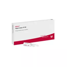 HIPPOCAMPUS GL D 8 ampul, 10X1 ml