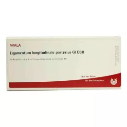 LIGAMENTUM LONGITUDINALE posterij GL D 30 amp, 10X1 ml