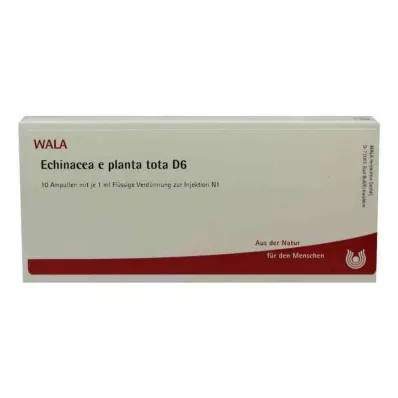ECHINACEA E planta tota D 6 ampul, 10X1 ml ECHINACEA E planta tota D 6 ampul, 10X1 ml