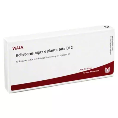 HELLEBORUS NIGER e planta tota D 12 ampul, 10X1 ml