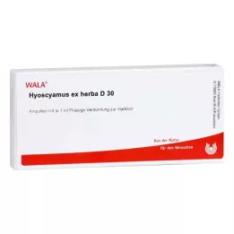 HYOSCYAMUS EX Herba D 30 ampul, 10X1 ml
