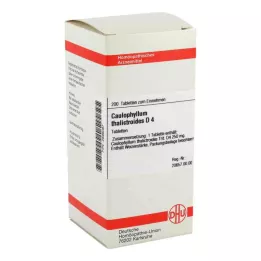 CAULOPHYLLUM THALICTROIDES D 4 tablete, 200 kapsul