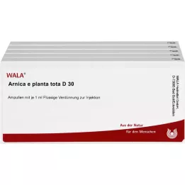 ARNICA E Planta tota D 30 ampul, 50X1 ml