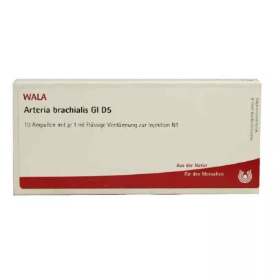ARTERIA BRACHIALIS GL D 5 ampul, 10X1 ml