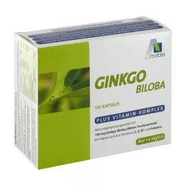GINKGO 100 mg kapsule+B1+C+E, 192 kosov