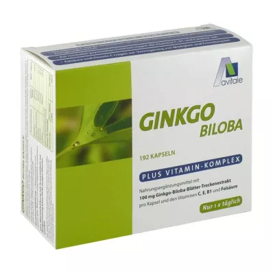 GINKGO 100 mg kapsule+B1+C+E, 192 kosov GINKGO 100 mg kapsule+B1+C+E, 192 kosov