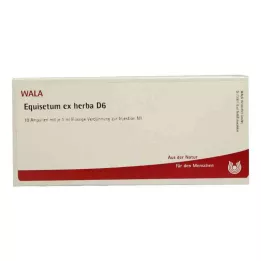EQUISETUM EX Herba D 6 ampul, 10X1 ml