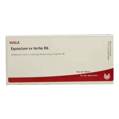 EQUISETUM EX Herba D 6 ampul, 10X1 ml