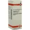 LYCOPODIUM Raztopina C 30, 20 ml