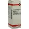 SYMPHYTUM Raztopina D 12, 20 ml