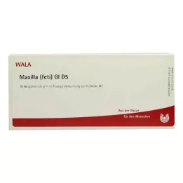 MAXILLA feti GL D 5 ampul, 10X1 ml